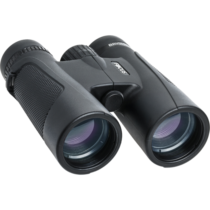 Focus Bright Kikkert 8x42