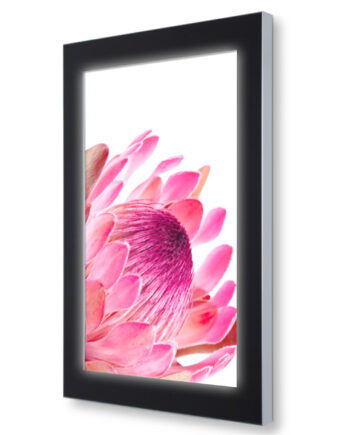 Outdoor Led Premium Plakatramme 70x100