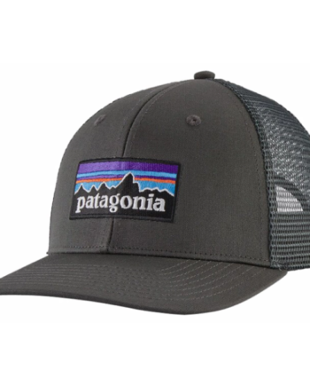 Patagonia Logo Trucker Cap Forge Grey