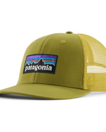 Patagonia Logo Trucker Cap Graze Green