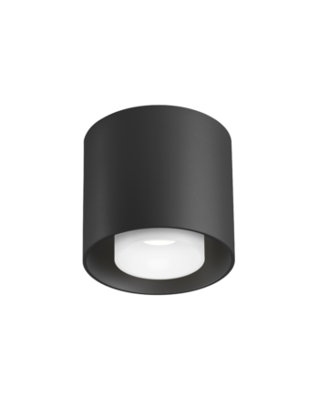 Ray Outdoor Loftlampe Wever   Ducr Antracite Hvid Cover