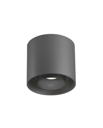 Ray Outdoor Loftlampe Wever   Ducr Grå Antracit Cover