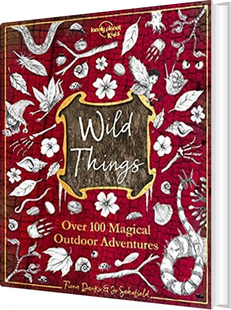 Wild Things: Over 100 Magical Outdoor Adventures Lonely Planet Kids English Book